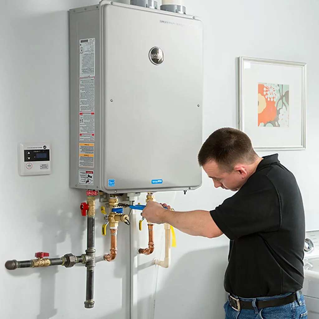 tankless water heater repair in Taunton, MN